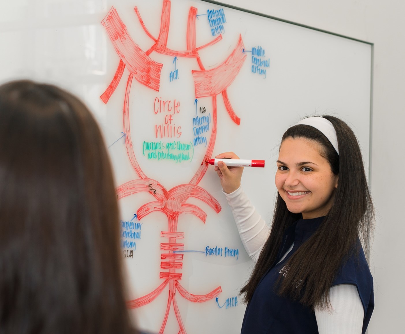 PA Students studying